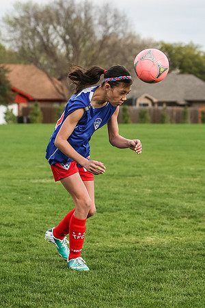 KLM_TFC Navy 21-4