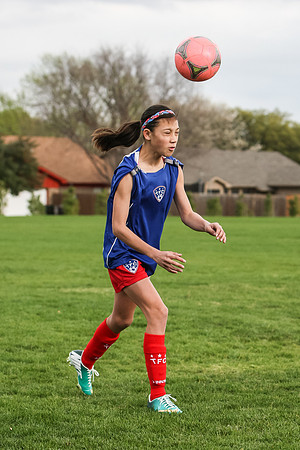 KLM_TFC Navy 21-5