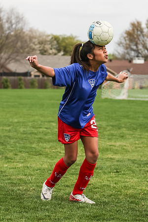 KLM_TFC Navy 20-20