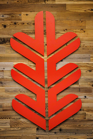 Logos_01312023_MooreshotsLLC-4