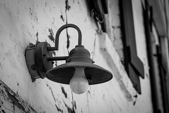 Savannah 082014-4