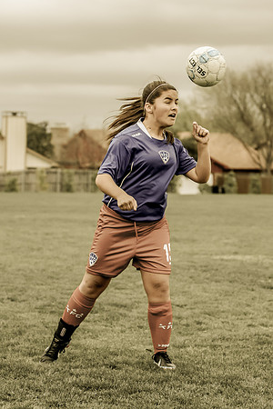 KLM_TFC Navy 15-20