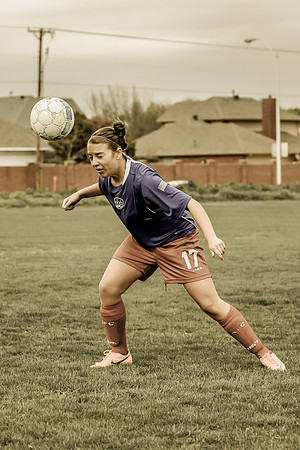 KLM_TFC Navy 17-3