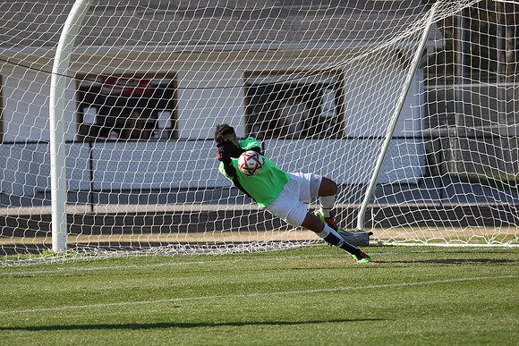 KLM_C. Gwinnett VB10_066