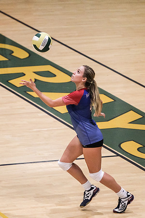 PRVolleyball_10112017_KarlLMoore-90