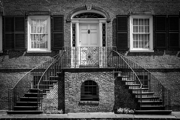 Savannah 082014-2