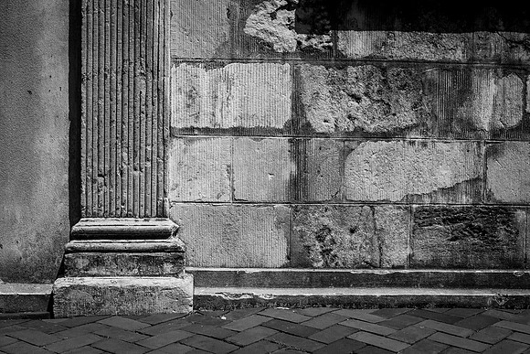 Savannah 082014-5