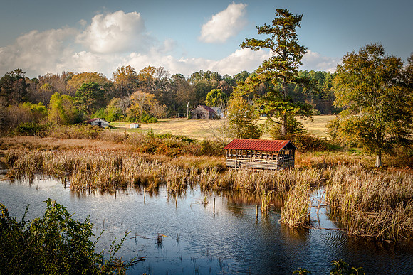 The Meadow