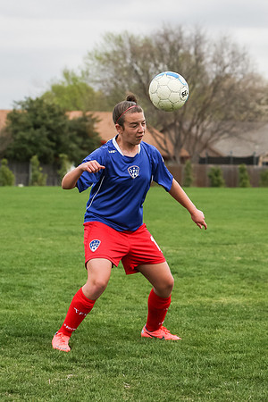 KLM_TFC Navy 17-5