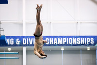 ThuEveningDive_02202020_KarlL.Moore-13