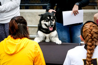 KSU LAX 03052017
