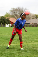 KLM_TFC Navy 1-4