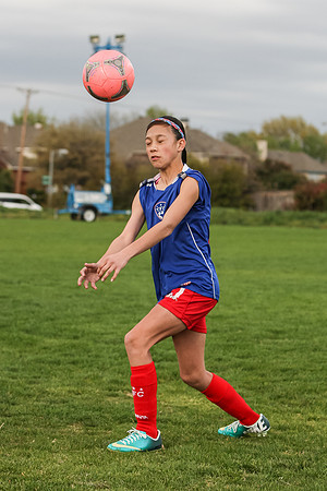 KLM_TFC Navy 21-2