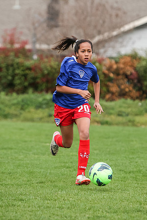 KLM_TFC Navy 20-6