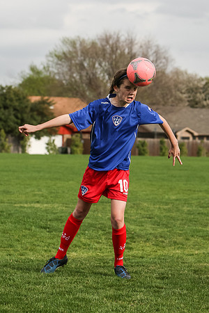 KLM_TFC Navy 10-4