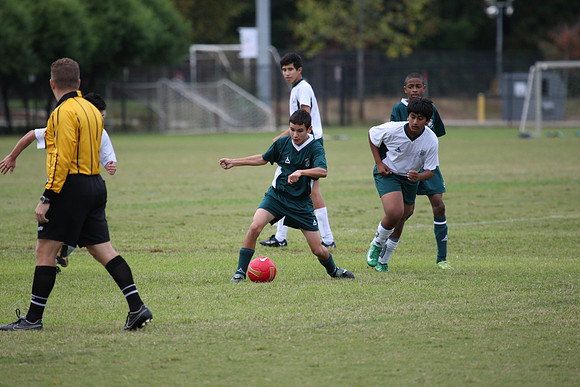 IMG_7019.JPG