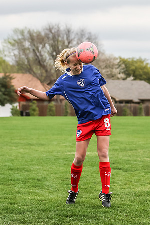 KLM_TFC Navy 8-3