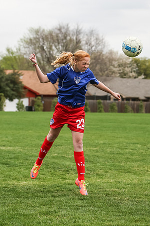 KLM_TFC Navy 23-5