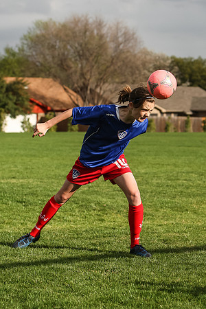 KLM_TFC Navy 10-3