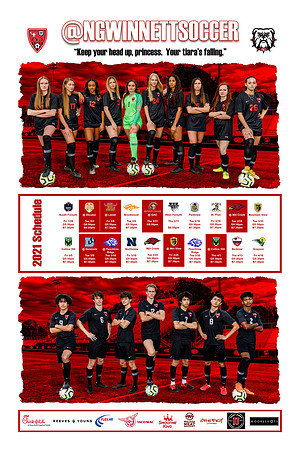 Soccer 2021 8x12 Print