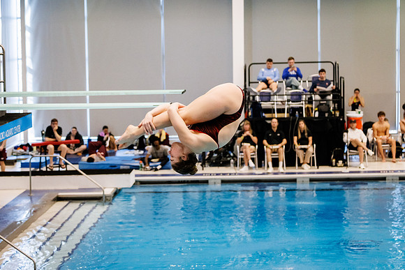 WednesdayWDiving_02152023_MooreshotsLLC-9