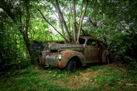 KM1_3981-Edit