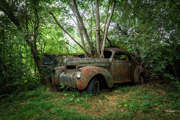 KM1_3981-Edit