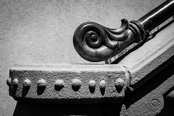 Savannah 082014-8