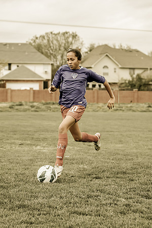 KLM_TFC Navy 20-9