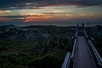 Savannah 062014