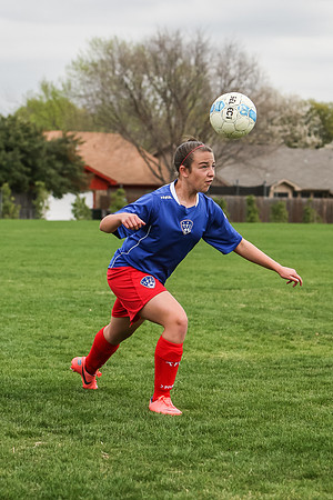 KLM_TFC Navy 17-4