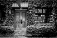 Savannah 072014