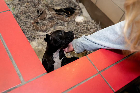Datascan_03302019_KarlLMoore-28
