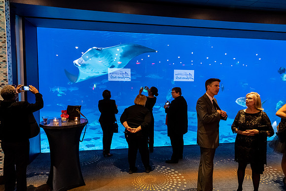 RedLetterAwards_10172019_KarlLMoore-32