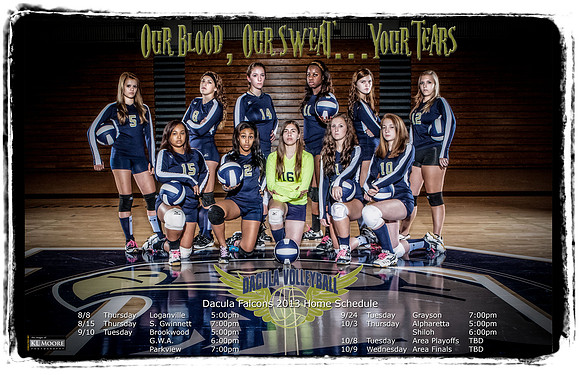 Dacula Volleyball Poster