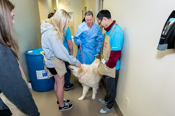 Datascan_03302019_KarlLMoore-35