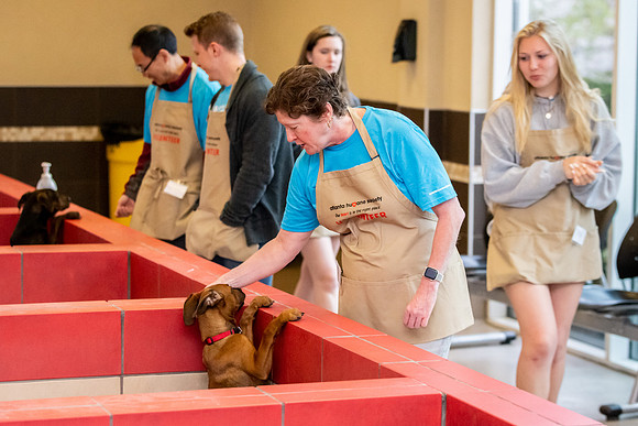 Datascan_03302019_KarlLMoore-29