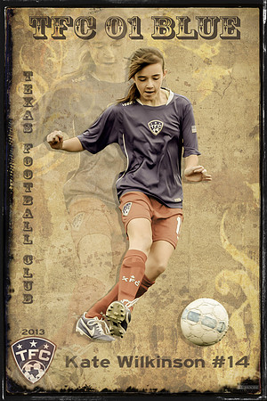 TFC 14
