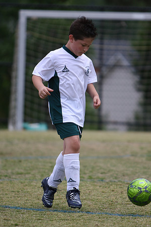 IMG_4865.JPG