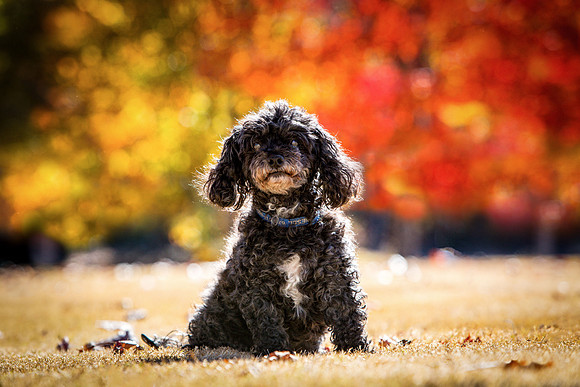 Shari_11202016_KarlLMoore-2-Edit