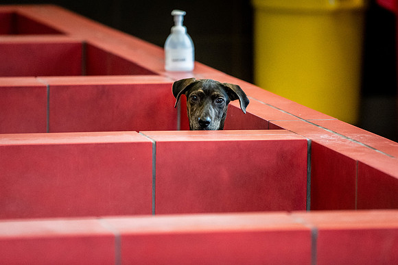 Datascan_03302019_KarlLMoore-31