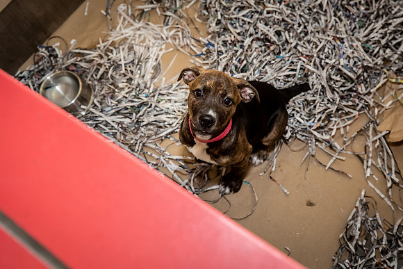 Datascan_03302019_KarlLMoore-126