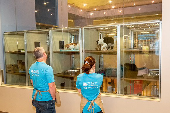 Datascan_03302019_KarlLMoore-9