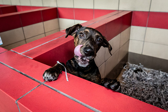 Datascan_03302019_KarlLMoore-131