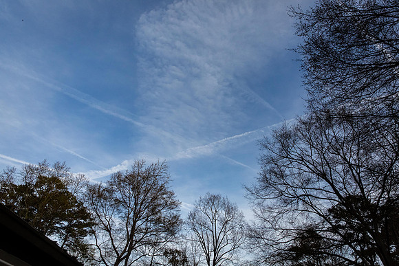 Calloway_03232019_KarlLMoore-137
