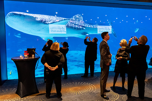 RedLetterAwards_10172019_KarlLMoore-31