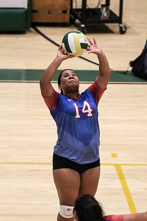 PRVolleyball_10112017_KarlLMoore-55