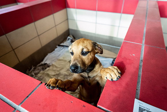 Datascan_03302019_KarlLMoore-86