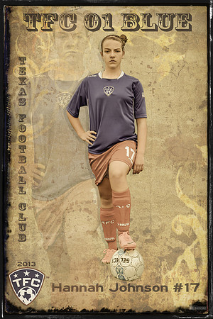 TFC 17