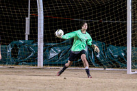 KLM_Walnut Grove VB12-019